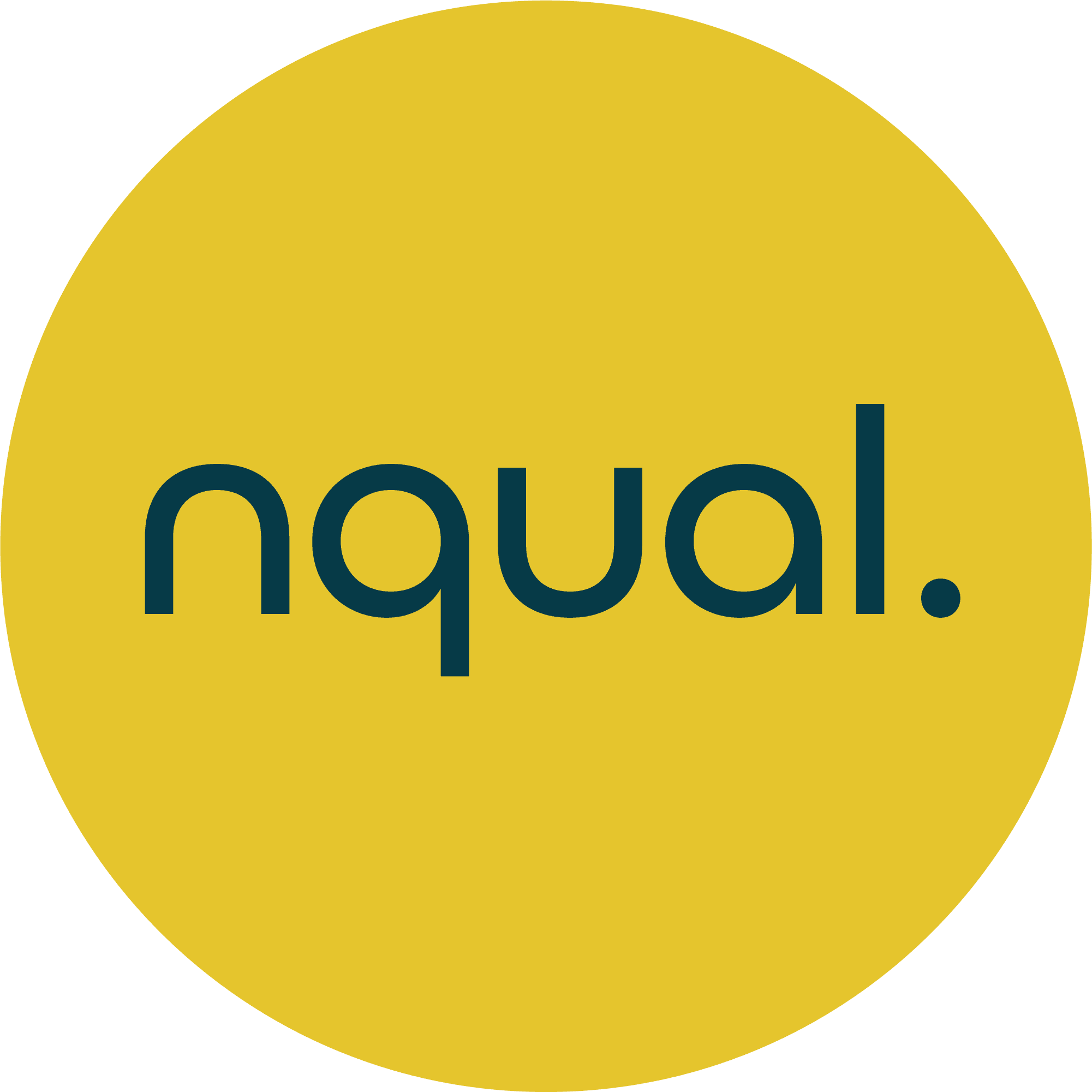 NQual logo